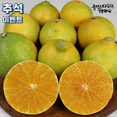 푸드꾸미 황금향 가정용 추석 제주직송, 1박스, 3Kg(가정용 17과)