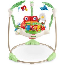 쏘서 Fisher-Price Baby Bouncer Rainforest Jumperoo 액티비티 센터 음악과 발달 장난감이 있는