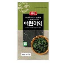 어린미역