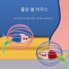 공테이프컬러