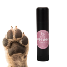 강아지보습제 발바닥습진 로션 고양이발바닥보습 15g 스틱형, 1개