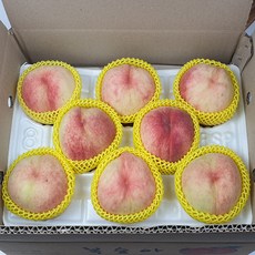 경북청도복숭아