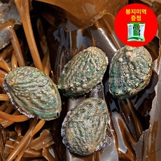 청산도전복