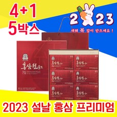 고급 홍삼 원 정관장 2023 명절 설날 설 선물 세트 셋트 5만원 6만원 대 수험생 집들이 예비 시댁 처가 친정 시 부모님 직장 상사 거래처 어르신 감사 효도 첫월급, 4+1 5박스 - 다니마켓