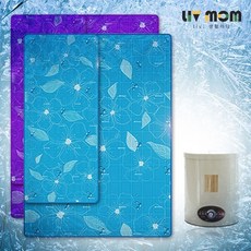 리브맘 아이스방 쿨매트 싱글 더블 냉수매트 SMART-3000, 2.냉보일러+더블매트(블루)