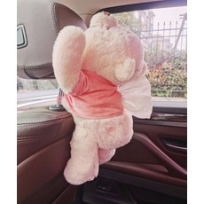 푸우티슈케이스