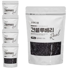 상큼한 자연다움 건블루베리 100g 5개, ONE COLOR, 100G 5개