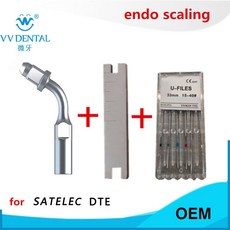 엔도스케일러