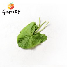 우리가락곰취