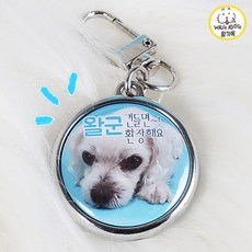 애견미용가격표