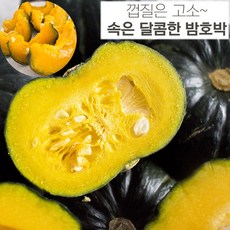 제주햇살바람밤호박