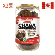 캐나다 뉴트리돔 프리미엄 유기농 차가버섯 청크 225g 2통 청정지역 자연 손수 채취함