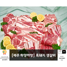 [제주하양까망] 제주 흑돼지 생 갈비, 흑돼지 생갈비 찜용 1.5KG, 선물용 고급 포장, 1개