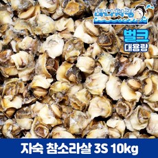 참소라살 3S 사이즈 자숙 불가리아산 10kg 도매 업소용 피뿔고동살, 1박스