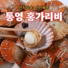 가리비맛조개