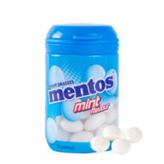 멘토스 민트맛 바틀, 120g, 2개