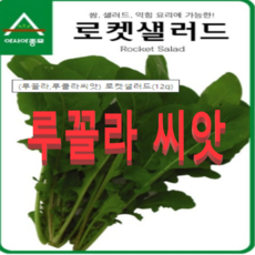 2cddfced0ab800c32503d916a4242a71ecb6482f9228d445bdc32b20e92a.png