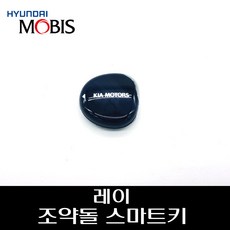 레이조약돌