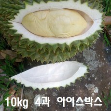 작은씨앗 가득향 푸얏통두리안 10kg 4과짜리, 1개
