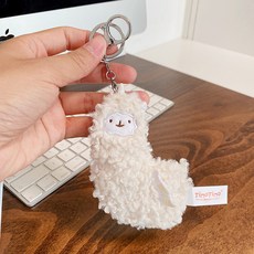 구체관절작은키