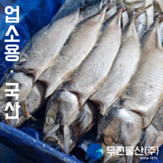 무진물산 국산 자반 간고등어 업소용 대용량 벌크, 16개, 750g 특대