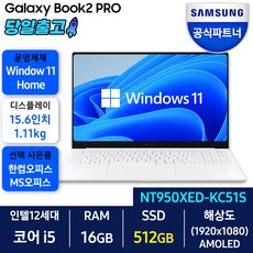 삼성전자 갤럭시북2 프로 NT950XED-KC51S 가성비 노트북 사무용 학생용, 실버, 코어i5, 512GB, 16GB, WIN11 Home
