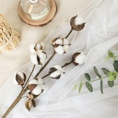 목화송이협동조합