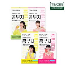  티젠 콤부차 4가지맛 혼합 40스틱 (파인애플 구성), 5g, 4세트 