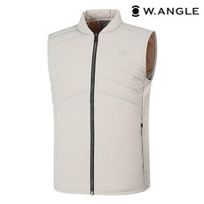 와이드앵글스윙다운