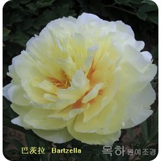 d24e4c62858d669dba1c9d918fa7c5b467e39ea50a888d7e84e6b0e8496f.jpg