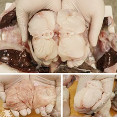 충남 서천 손질아귀 1kg내외 아귀찜 아구탕 아귀요리 흰살생선 손질생선, 1개