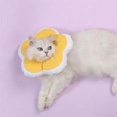 비마이펫넥카라