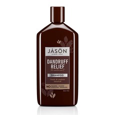 Jason 제이슨 댄드러프 릴리프 샴푸 355ml, 단일상품