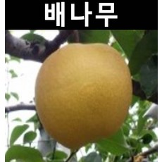 464fe73aedeac5a46cd5b151c378756ffb3f49caa50fa91cd325cbf58981.jpg