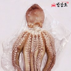 나은 국산 손질 문어, 1개, 손질 문어 1.4kg