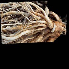고씨네 나물1kg 나물 길경 도라지 93000EA, 1개, 1없음