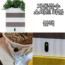 HYS197816할인)수투키 허브 고급 실내 꾸미기 자동 급수 화분 소형 물조리개 실내인테리어화분 플라스틱화분