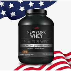 뉴욕웨이 WPC 초코맛 단백질보충제 헬스보충제 웨이프로틴 농축유청단백, 2kg