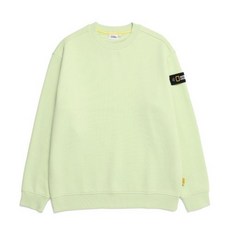 (국내매장/AS) 내셔널지오그래픽 N224USW901 스탠다드 벨룩스 세미오버핏 기모 맨투맨티셔츠 FOAM GREEN