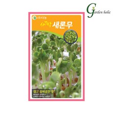 새싹 씨앗 소량 가정 베란다 식물 채소 재배, 30g, 1개