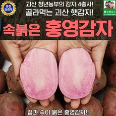 홍영감자