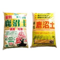 다육이야기 녹소토소립