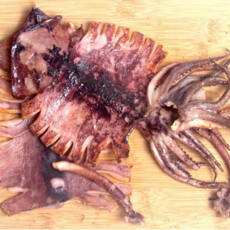 동해반건조오징어