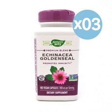Nature's Way 네이처스 웨이 에키네시아 골든실 이뮤니티 프로모션 180캡슐 3팩 Echinacea Goldenseal Non-GMO Project Verified T, 3개, 180정