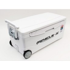 갈치쿨러
