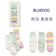 블루독양말