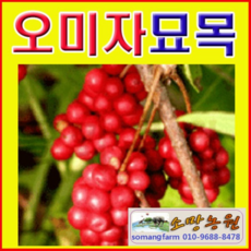 4e4c23ad9631e3f3a31946dc88a5739b3a90c267e4abcec4253efbebea60.jpg