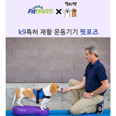 fitpaws