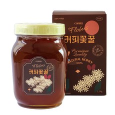 플로비즈 100% 천연벌꿀 1.2kg, 1개