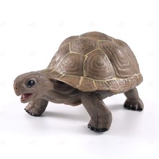 거북이모형